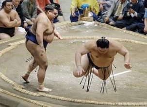 大の里初黒星、霧島は3勝目　琴桜ただ一人4連勝