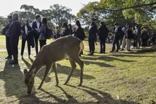 銃撃初公判、傍聴席の倍率22倍　朝の奈良公園に727人が列