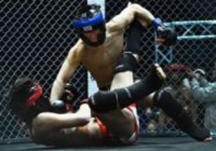 格闘技と学業両立へタッグ　通信・専門学校に新コース