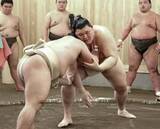 「大の里は動きに手応え　幕内藤ノ川に8勝2敗」の画像1