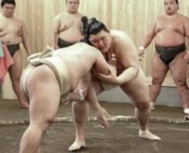 大の里は動きに手応え　幕内藤ノ川に8勝2敗