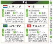 スウェーデンなどサッカーW杯へ　欧州プレーオフ、イタリア敗退