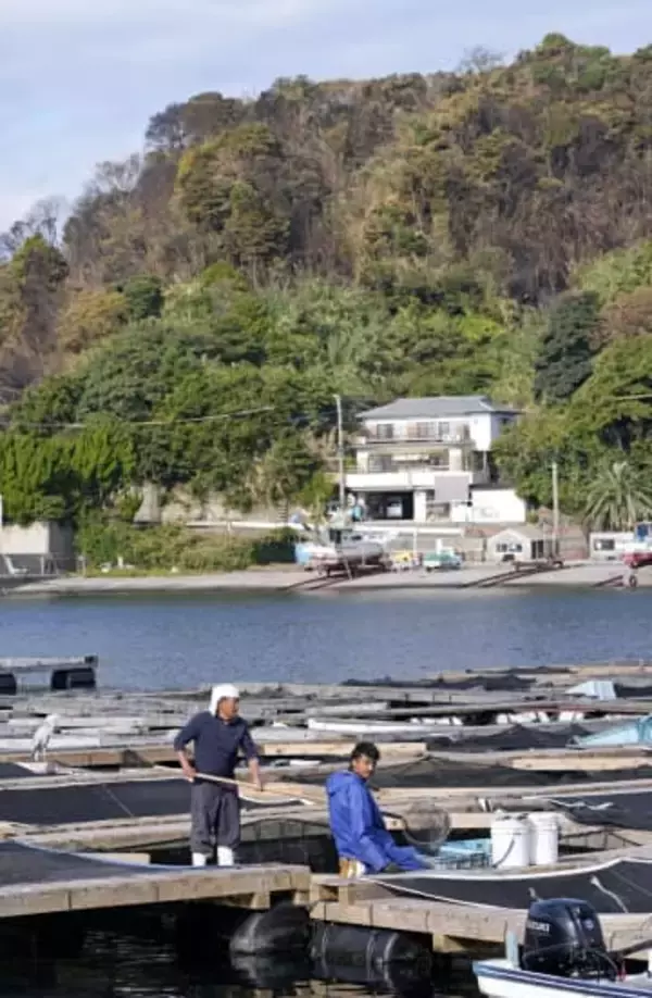 火災が「関サバ」水揚げ地直撃　道具焼失、規制で出荷停滞