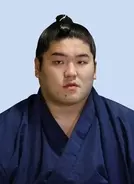 幕内の朝紅龍が夏場所休場　6日目に右膝負傷