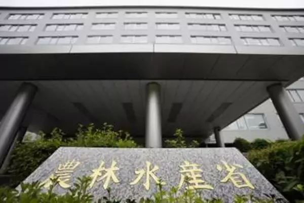 コメ在庫、最大の243万トン　民間適正量を大幅超過