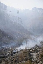 岩手・大槌町の山林火災延焼拡大　200ヘクタール、建物7棟被害