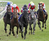 「競馬、ロブチェンが重賞初制覇　G1のホープフルS、7番人気」の画像1