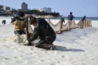 白良浜、防砂ネット撤去　春の訪れ告げる恒例作業