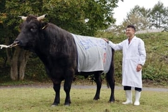 「いわて牛」ブランド力アップに期待　血統の子、検定最高峰評価の種牛登場