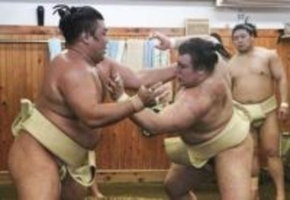 安青錦と霧島が稽古で2勝2敗　少ない番数も激しい攻防