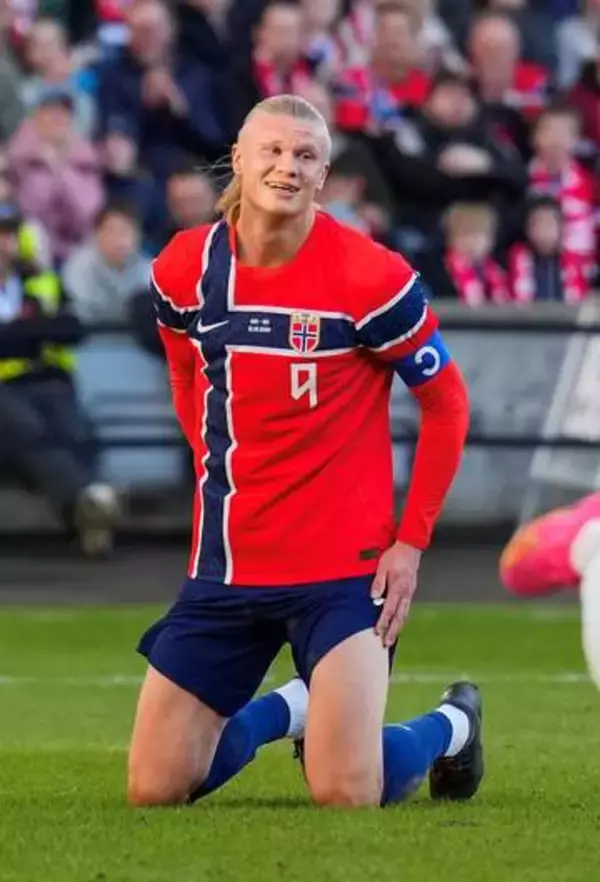 ハーランドら選出、ノルウェー　W杯I組