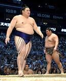 「大の里白星先行、豊昇龍5勝目　全勝消え、霧島ら1敗7人」の画像1