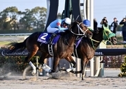 ダブルハートボンドが優勝　競馬のG1チャンピオンズカップ