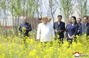 金正恩氏、菜の花畑を視察　北西部・新義州で造成「壮観」