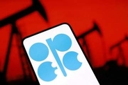 OPEC有志7カ国、生産枠維持　11月、据え置きは2カ月連続