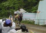 「人馬一体で観客魅了　京都・下鴨神社で流鏑馬」の画像1