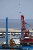 「辺野古沖で米軍降下訓練　09年以来か、沖縄県は容認」の画像1