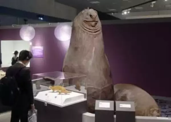 「性」テーマに初の特別展　上野の国立科学博物館