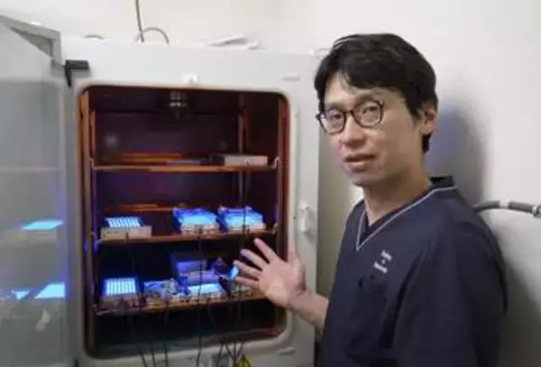 “当てるだけ”で骨腫瘍治療へ　青色LEDで新手法、切除せず