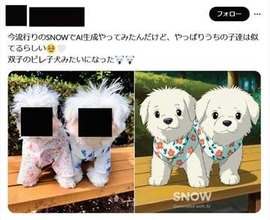 アプリのステマで措置命令　写真加工「SNOW」運営