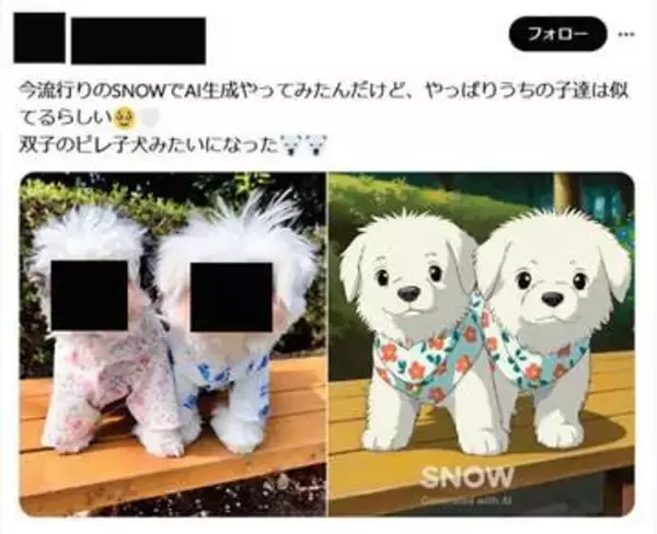 アプリのステマで措置命令　写真加工「SNOW」運営