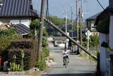 「臨時休業や催し中止「70件」　夏休み直撃、観光に痛手」の画像1
