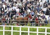 「「相馬野馬追」馬と接触6人けが　武者落馬で脱走、コース外に」の画像1