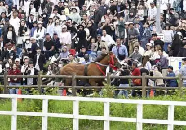 「相馬野馬追」馬と接触6人けが　武者落馬で脱走、コース外に