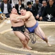 大の里が連勝、豊昇龍は初白星　琴桜初黒星、安青錦は2連勝