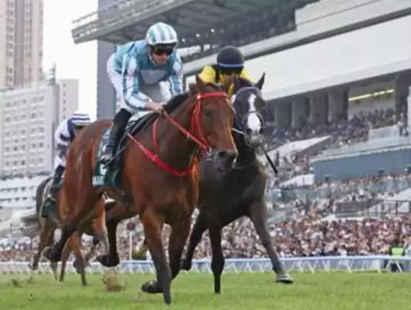 マスカレードボールは2着　香港競馬のG1レース