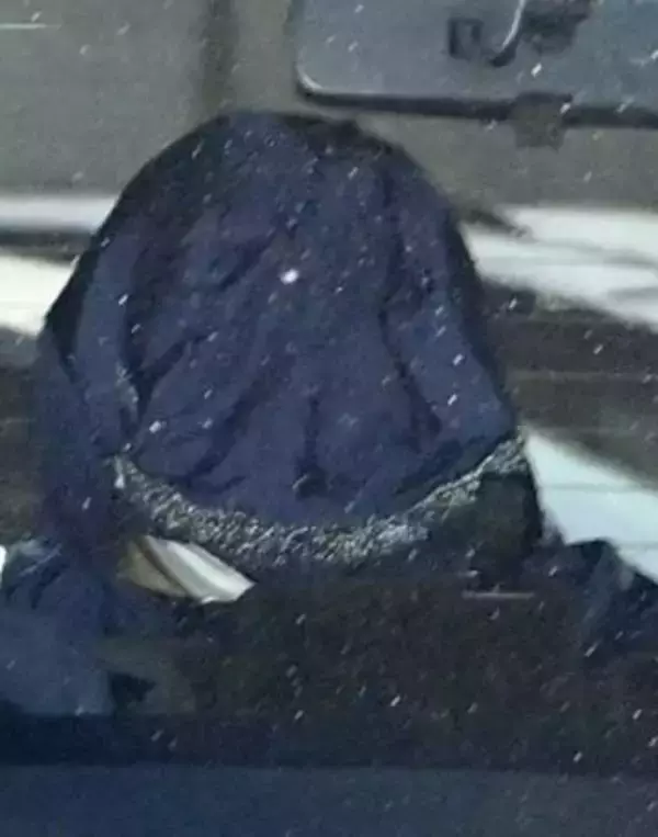 栃木の強殺未遂疑い、夫婦再逮捕　容疑否認、実行役に指示か