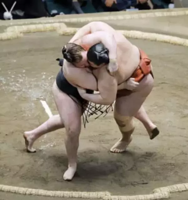 安青錦2連覇で視聴率20％　大相撲初場所の千秋楽