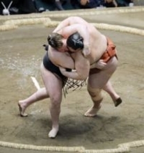 安青錦2連覇で視聴率20％　大相撲初場所の千秋楽