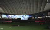 「長嶋さん一周忌で特別試合　巨人、丸の代打満塁弾で逆転勝ち」の画像1