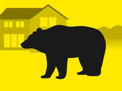 クマに襲われ78歳男性けが　岩手・田野畑の山林