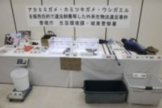 アカミミガメを販売目的で飼育　会社経営の女性ら書類送検