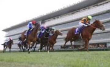 阪神JF、スターアニスが優勝　G1制覇で重賞初勝利