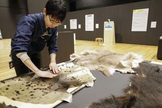 触って見て聴くアイヌ文化　ウポポイの博物館で展示