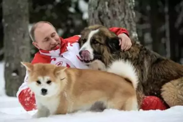 ロシア贈呈の犬の動向はベールに　大統領公邸の犬たち