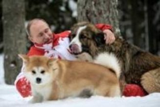 ロシア贈呈の犬の動向はベールに　大統領公邸の犬たち