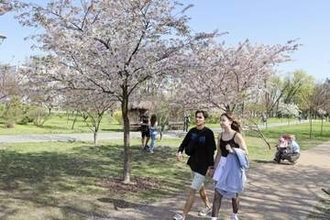 キーウ「京都公園」ミサイル着弾　1人死亡10人負傷
