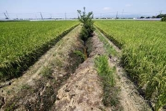 農業インフラの被害2千カ所に　熊本地震、水路やため池で深刻