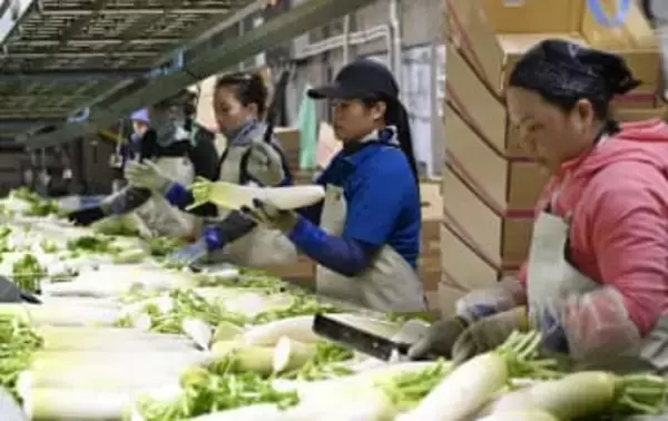 【独自】外国人、10道県10年で2倍超　熊本トップ、北海道、鹿児島、沖縄が続く