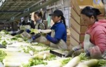 【独自】外国人、10道県10年で2倍超　熊本トップ、北海道、鹿児島、沖縄が続く