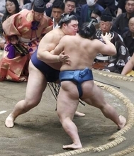 大の里、安青錦、琴桜3連勝　綱とり霧島、熱海富士は初黒星