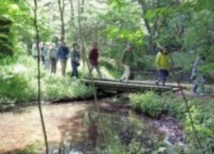 「吹上御苑」で自然観察会　当選90人が皇居の森を散策