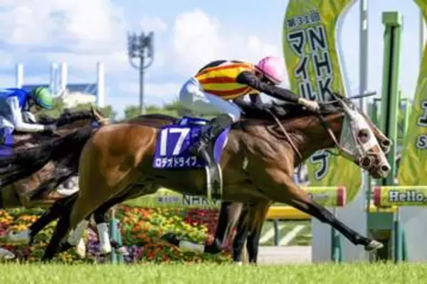 1番人気のロデオドライブが優勝　競馬のNHKマイルカップ