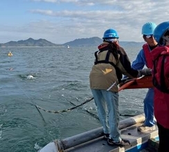 瀬戸内海に二つの海底活断層　産総研、M7地震発生の恐れ