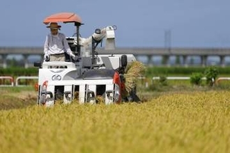 26年産新米、大幅値下がりへ　JA前払い金2～4割下落