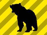 「群馬でクマ襲撃、釣りの男性けが　みどり市の山林内」の画像1